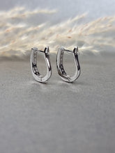 Load image into Gallery viewer, Moissanite Diamond Classic Eternal Channel Loop Earrings